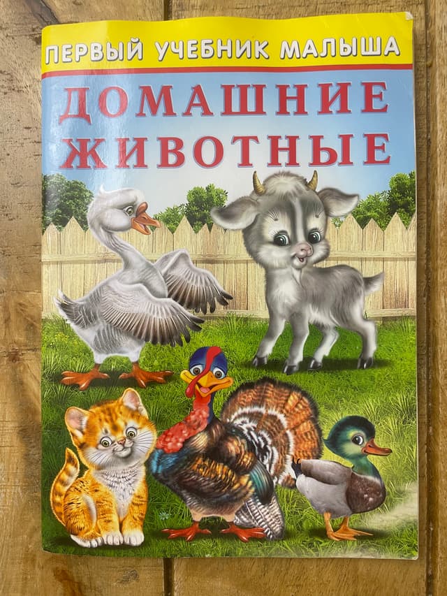 Домашние животные