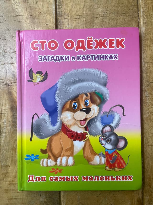 Сто одёжек. Загадки в картинках