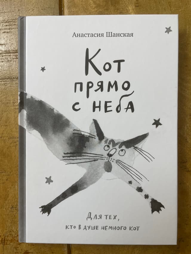 Кот прямо с неба