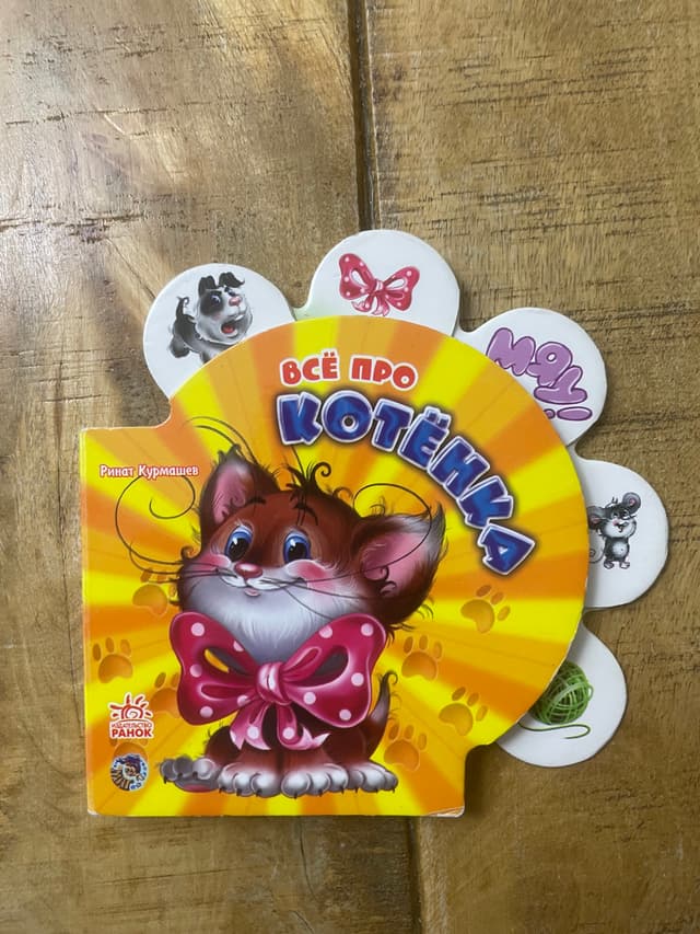 Всё про котёнка