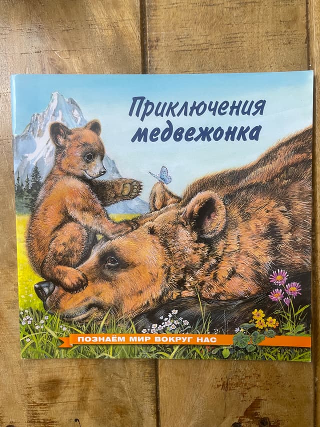 Приключения медвежонка