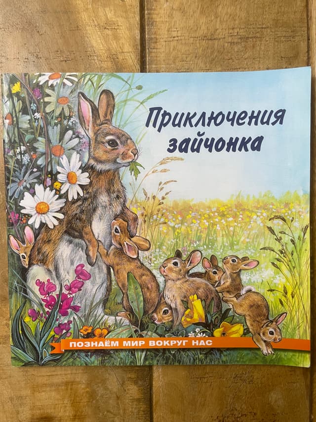 Приключения зайчонка